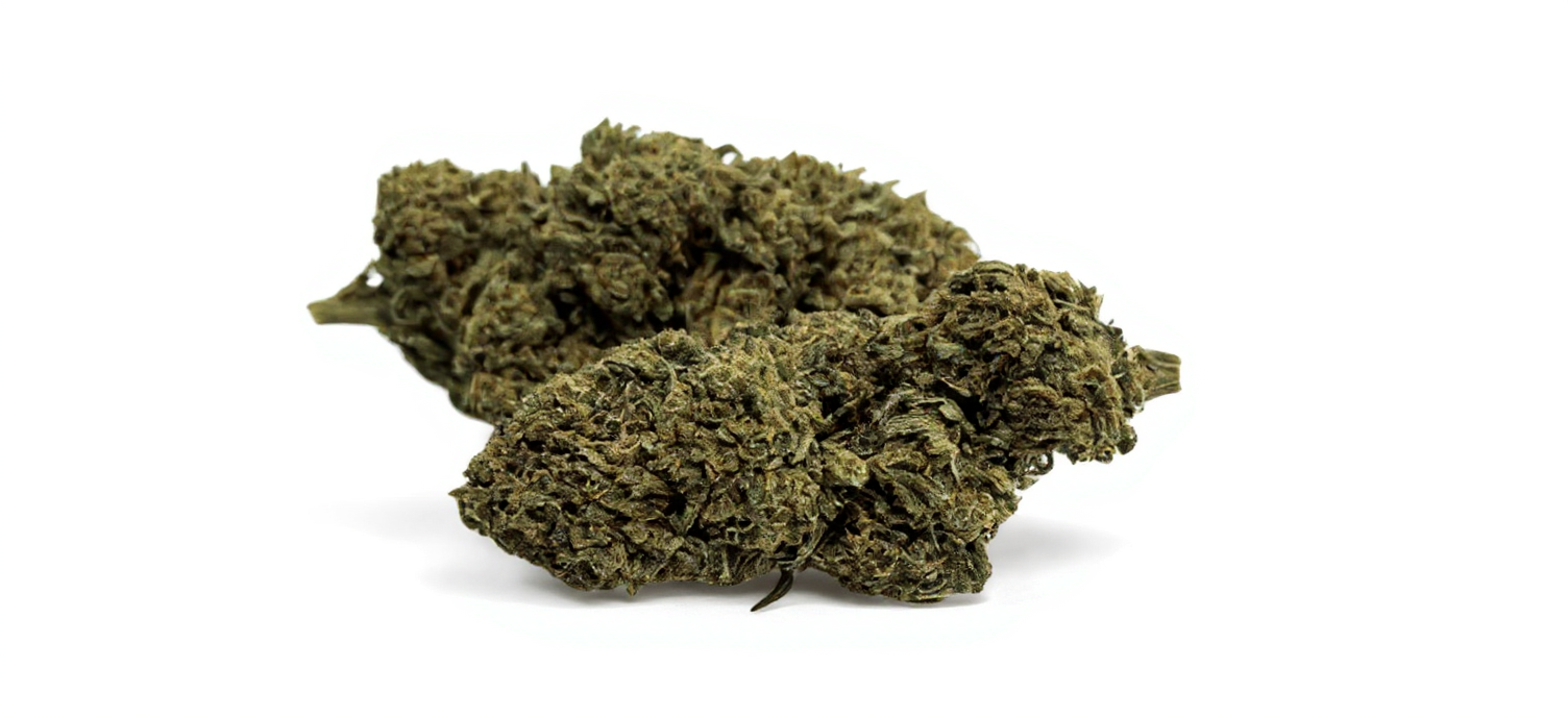 Fleur de CBD Gorilla Greenhouse