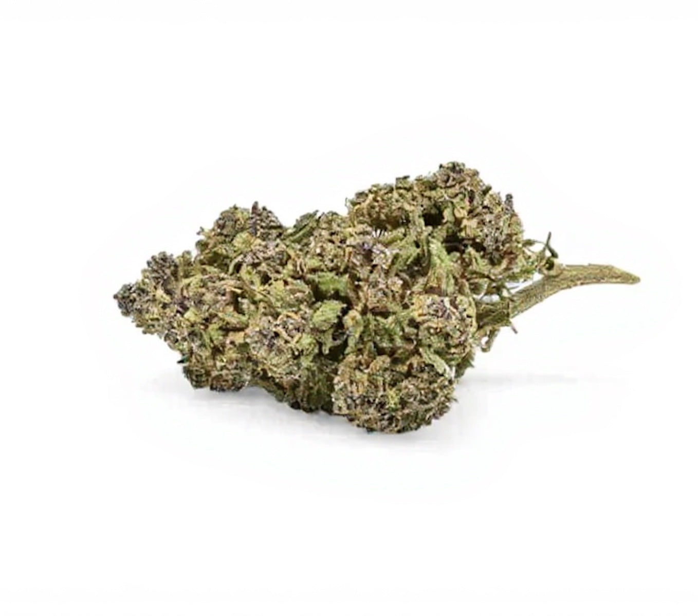 Purple Cookie Greenhouse Premium