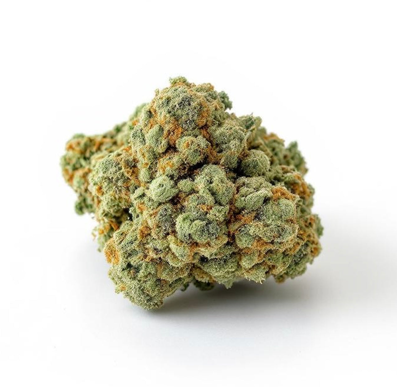 Frozen Glasshouse Premium