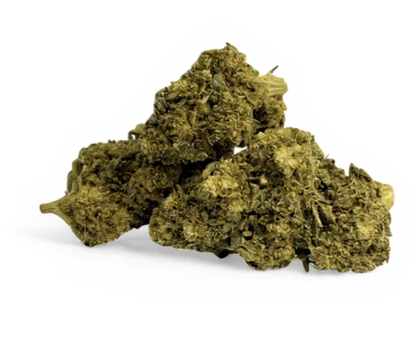 Cryo Glasshouse NXT+