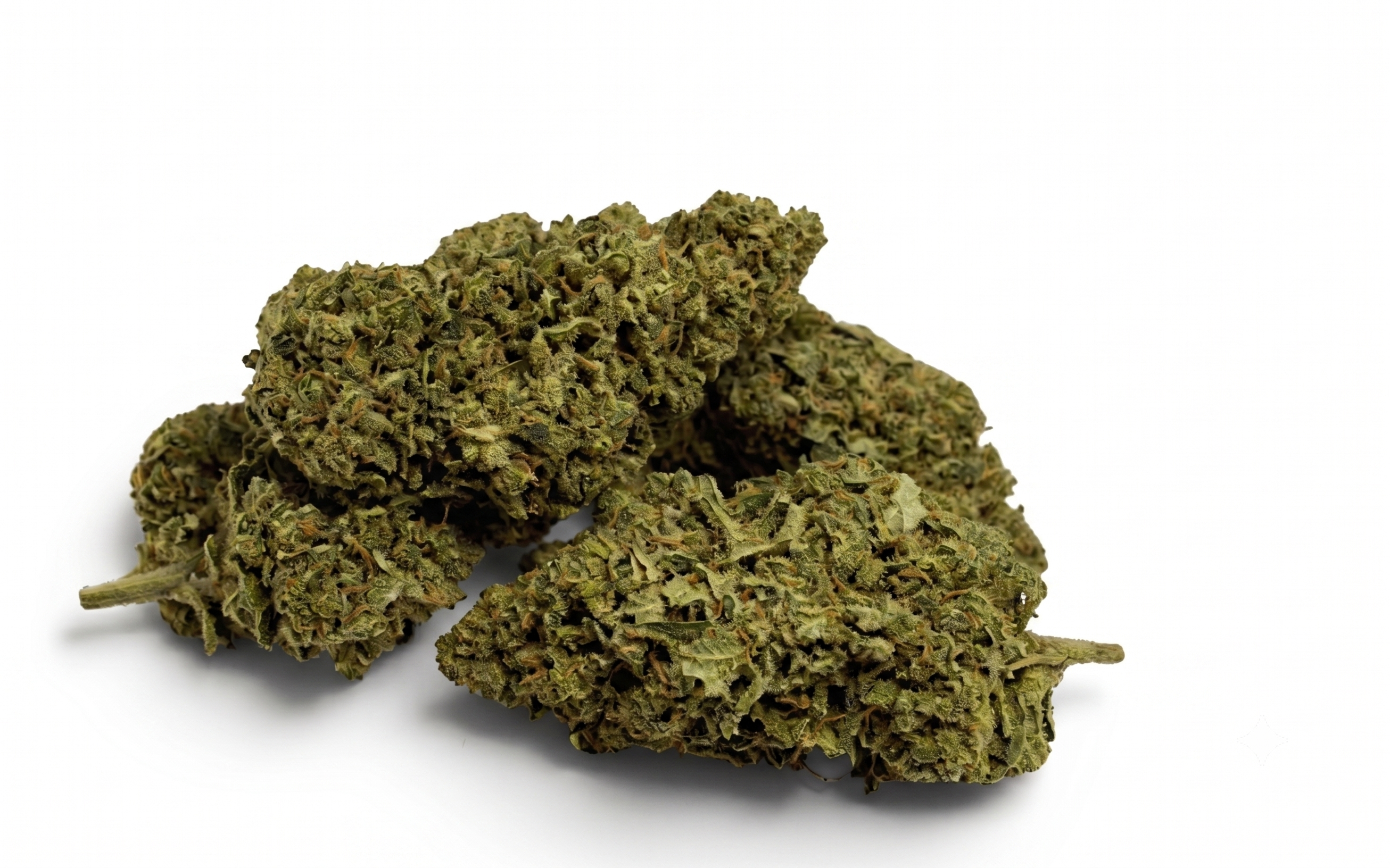 Super Silver Haze Indoor
