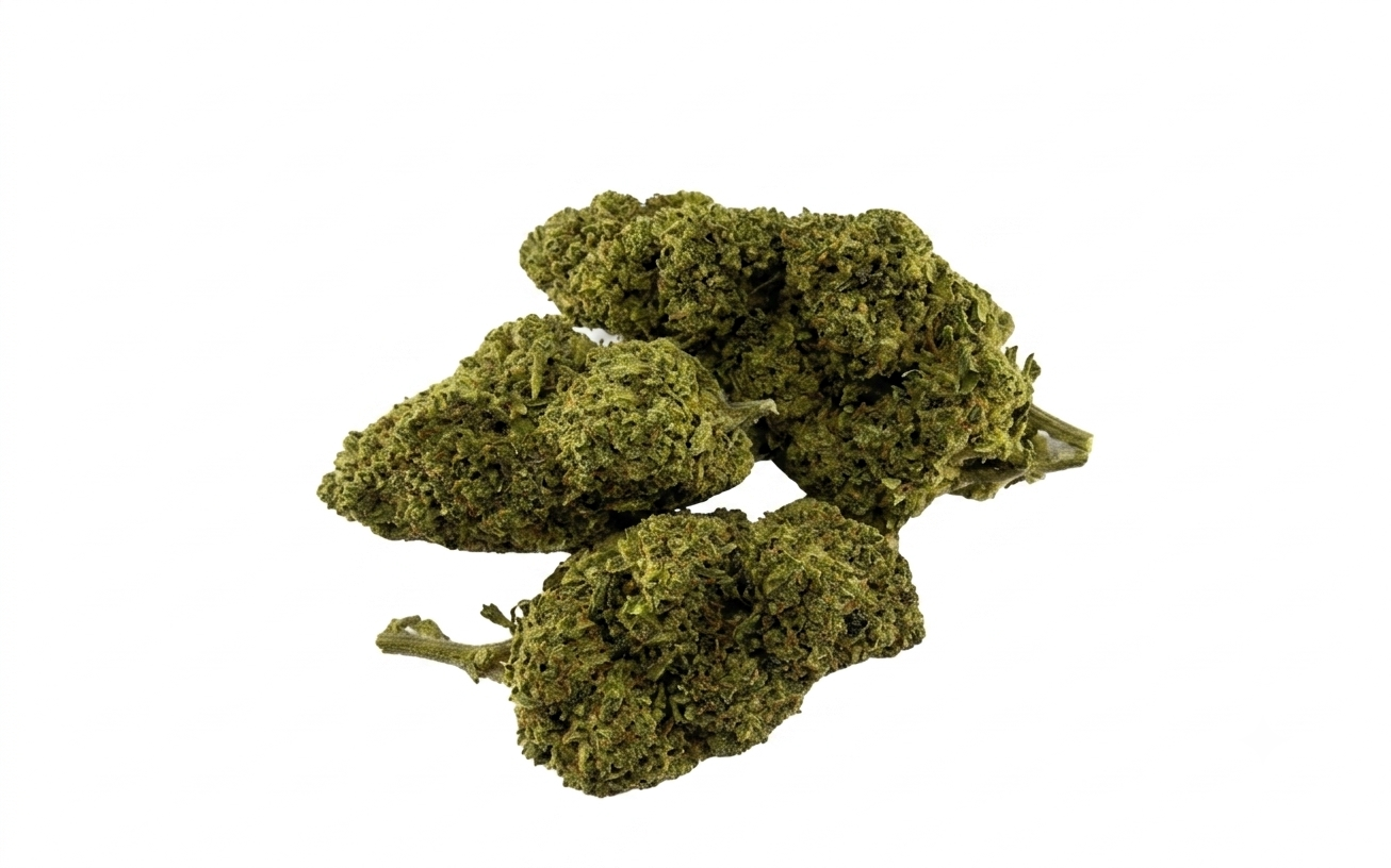 Green Crack Indoor Edition Limitée