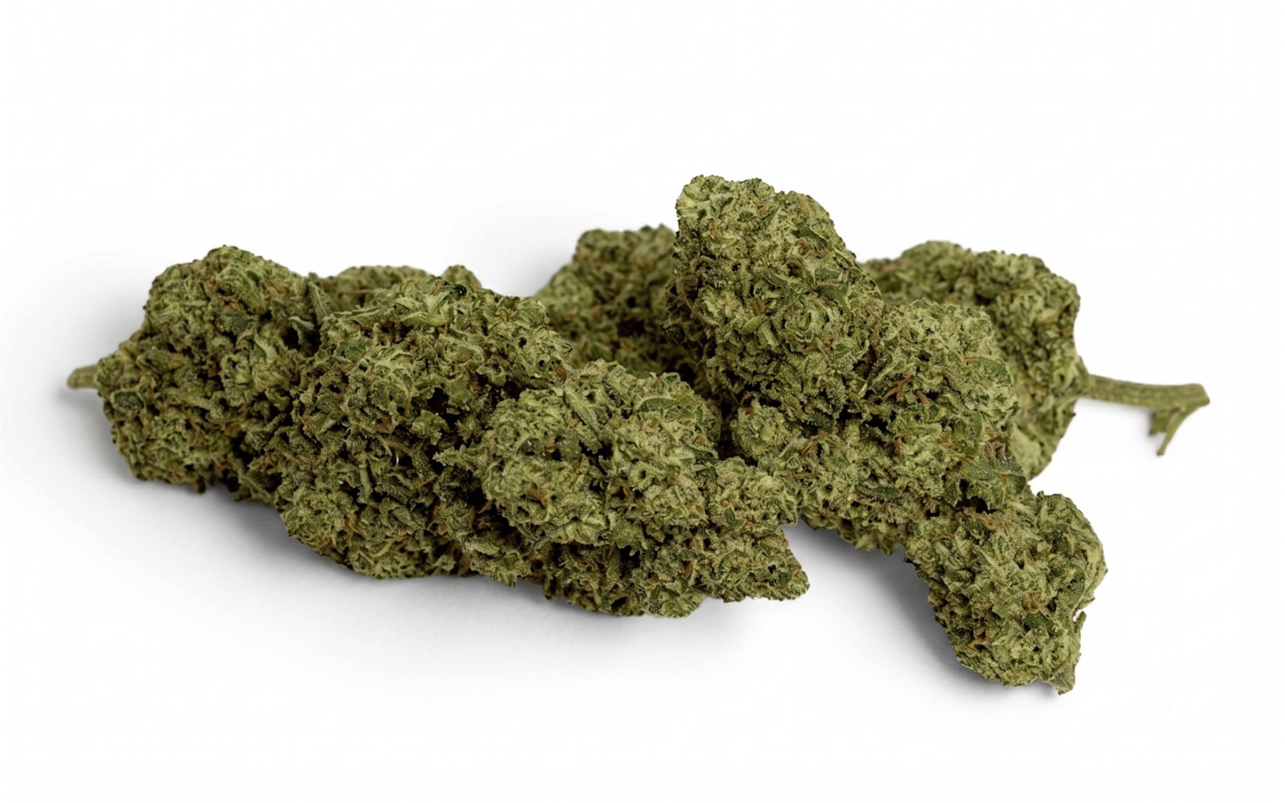 Gelato Glue Indoor Premium